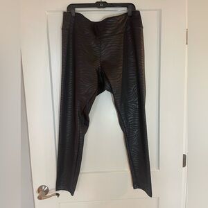 Express Zebra Leggings